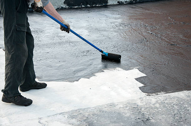 Best Concrete Driveway Installation  in Carson City, NV